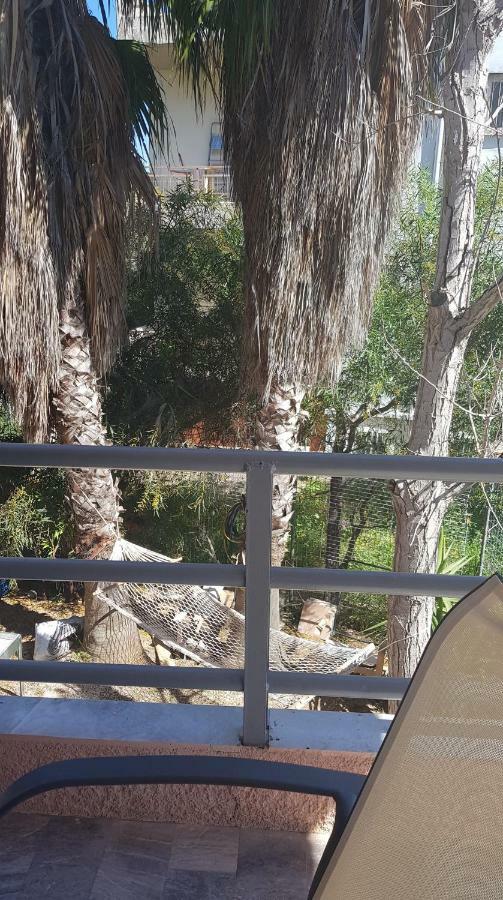 Athina Apartments טולון מראה חיצוני תמונה